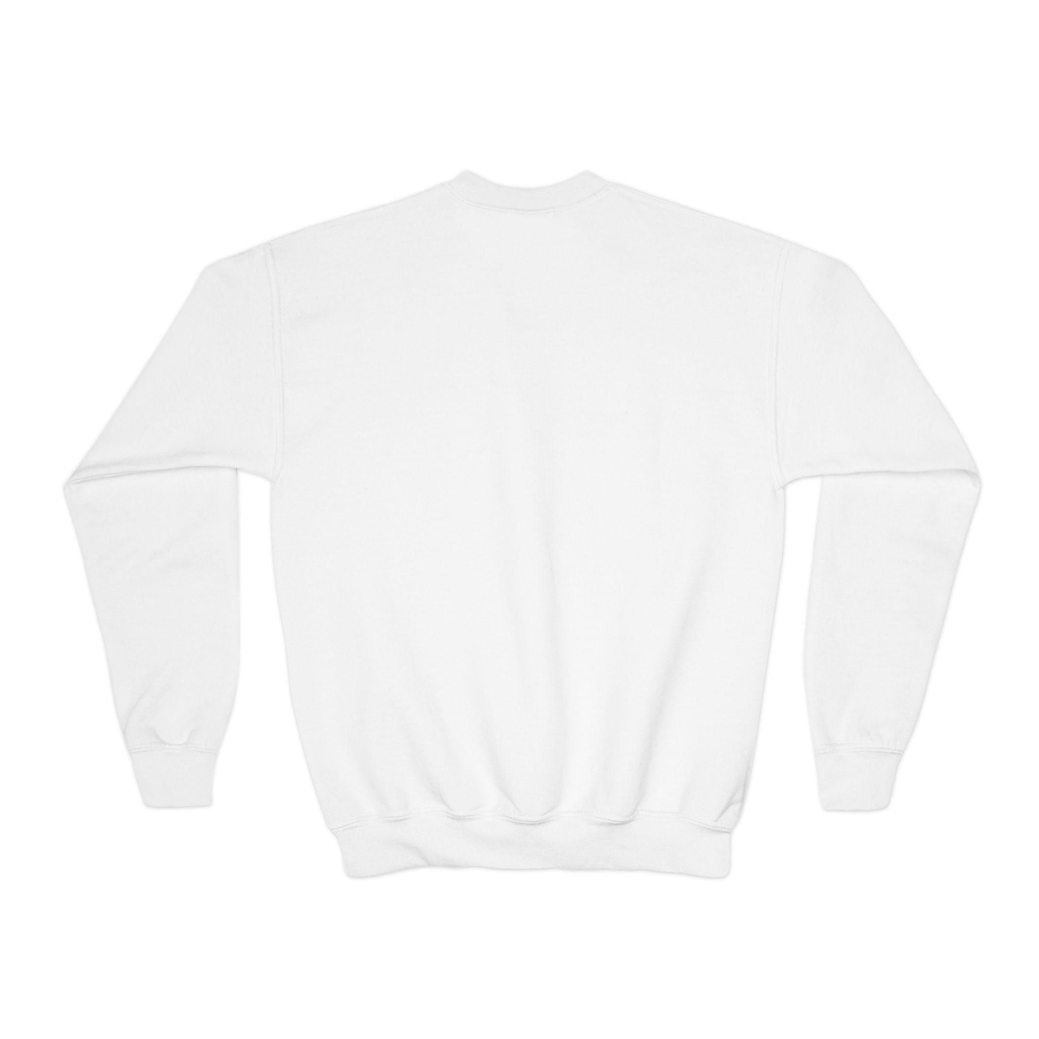 Youth Crewneck  "All American Dumpling"  Sweatshirt